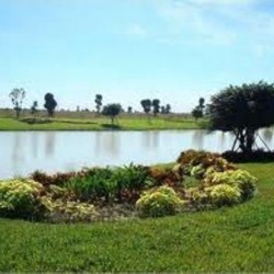 Đất Nền An Phú Đông Giá Rẻ