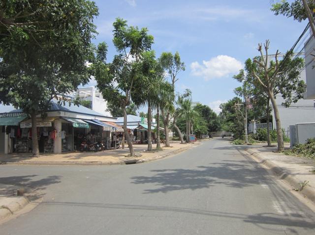 Cần bán đất An Phú Đông Quận 12 rất lý tưởng được chọn lọc kỹ càng Cần bán đất An Phú Đông Quận 12 rất lý tưởng được chọn lọc kỹ càng